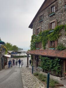 Les Alpes du Léman