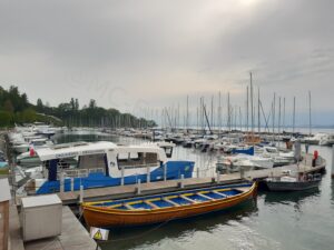 Les Alpes du Léman