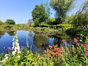 Les jardins de Monet