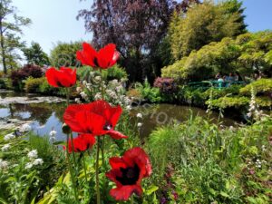 Les jardins de Monet