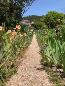 Les jardins de Monet